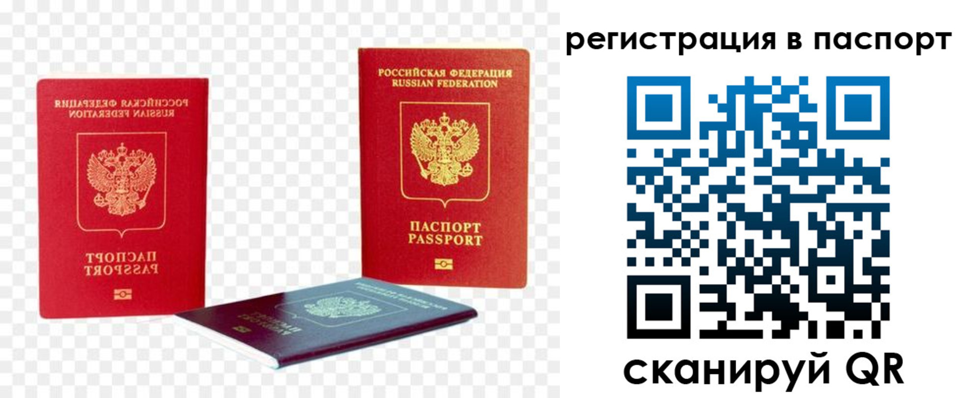 временная регистрация поиск в Холмске